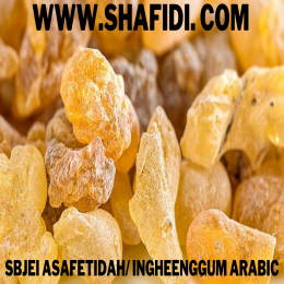 ASAFETIDAH, INGHEENGGUM ARABIC